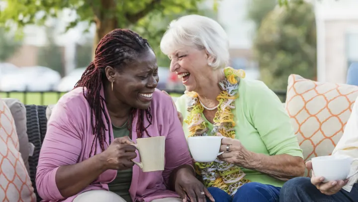 Senior Companionship